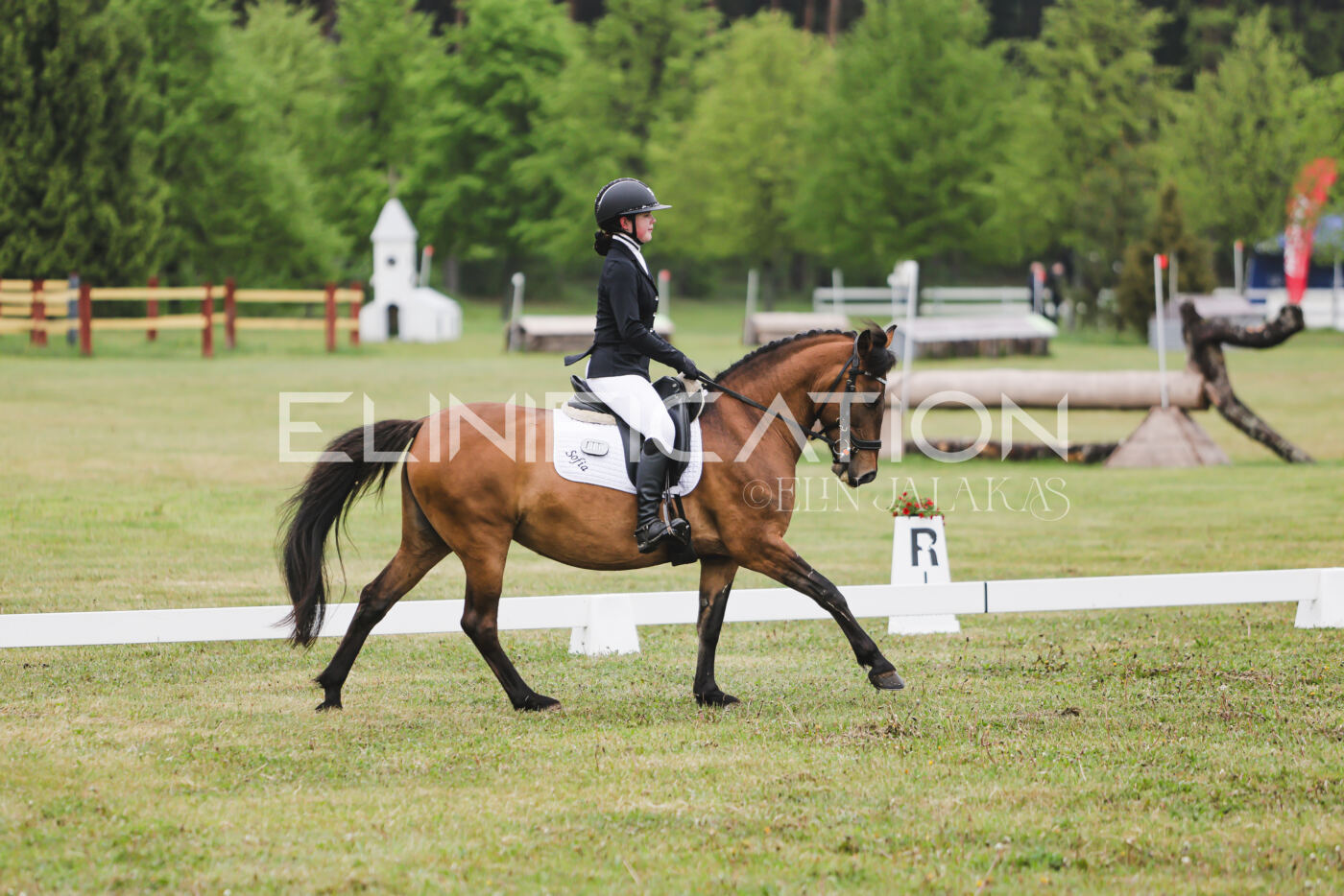 Parnu_CHI_3V_2026_CCN100_KS_140
