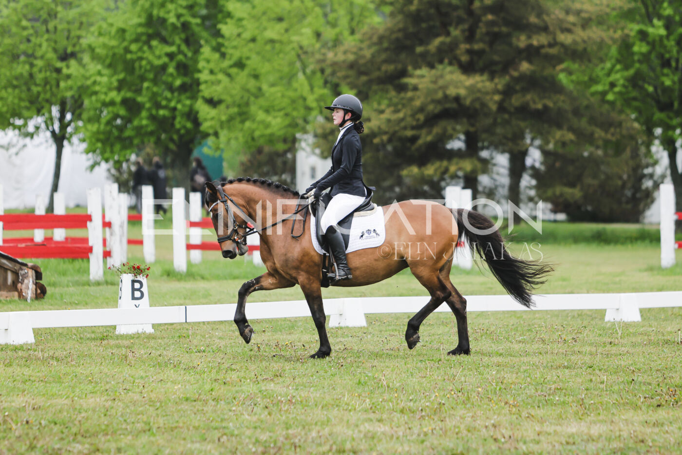 Parnu_CHI_3V_2026_CCN100_KS_145