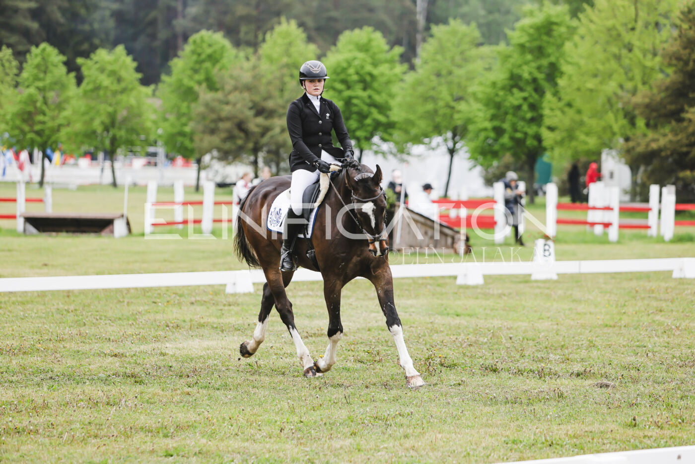 Parnu_CHI_3V_2026_CCN80_KS_007