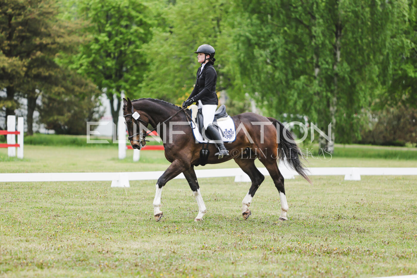 Parnu_CHI_3V_2026_CCN80_KS_008