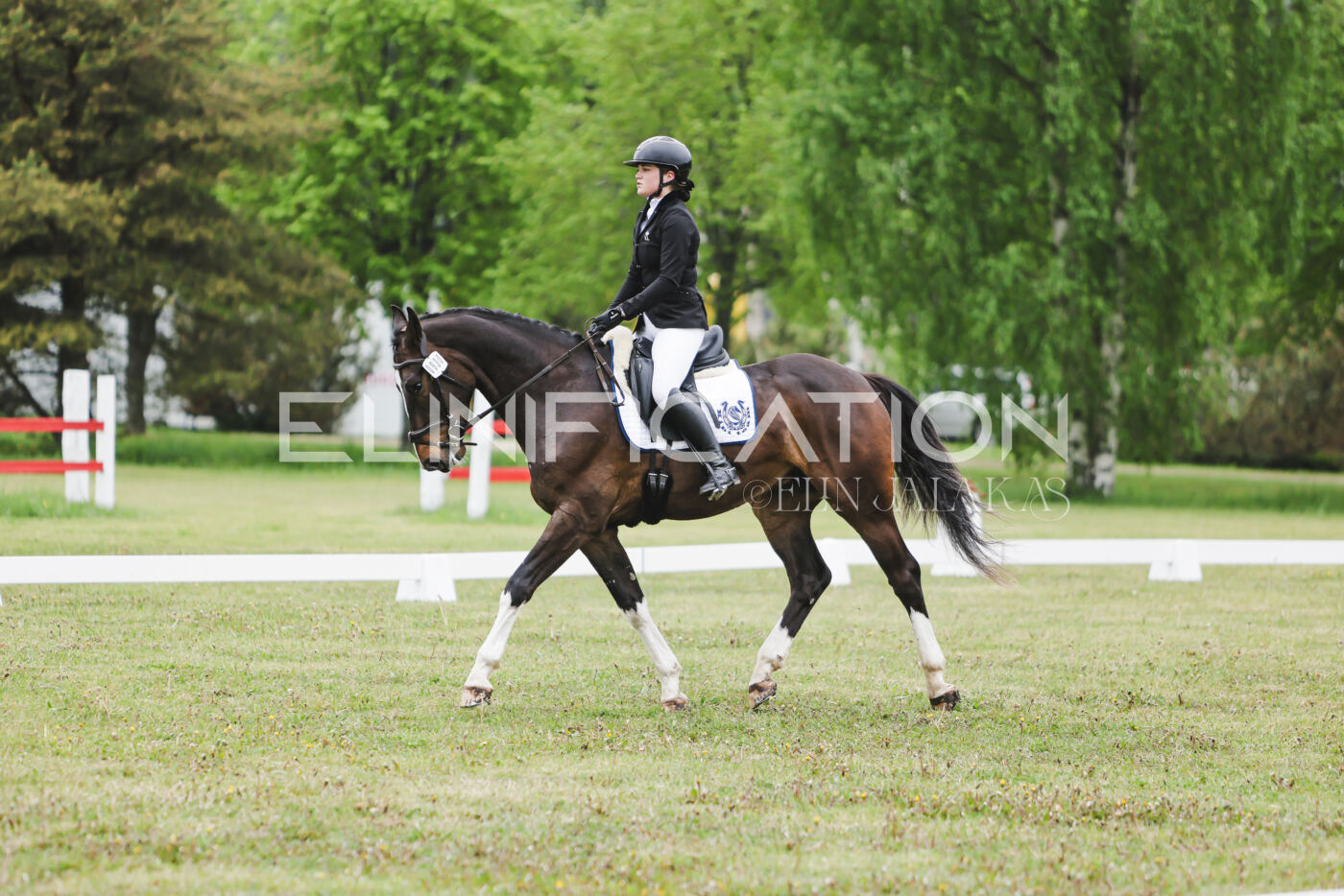 Parnu_CHI_3V_2026_CCN80_KS_009