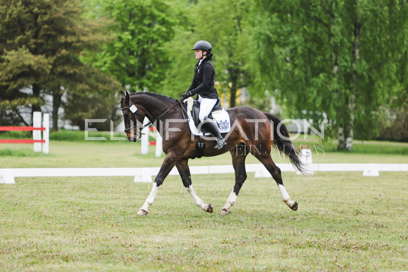 Parnu_CHI_3V_2026_CCN80_KS_010