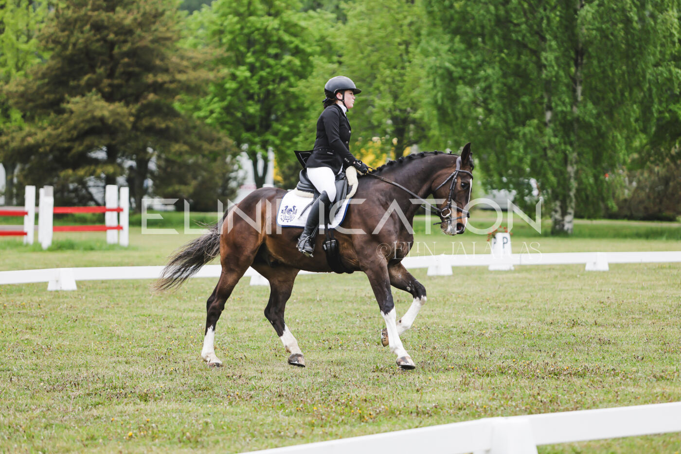 Parnu_CHI_3V_2026_CCN80_KS_019