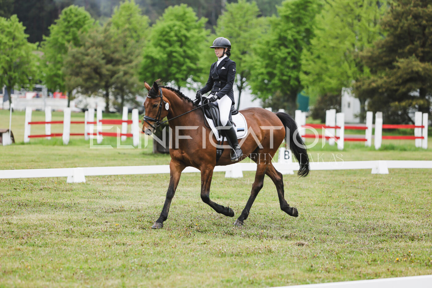 Parnu_CHI_3V_2026_CCN80_KS_021