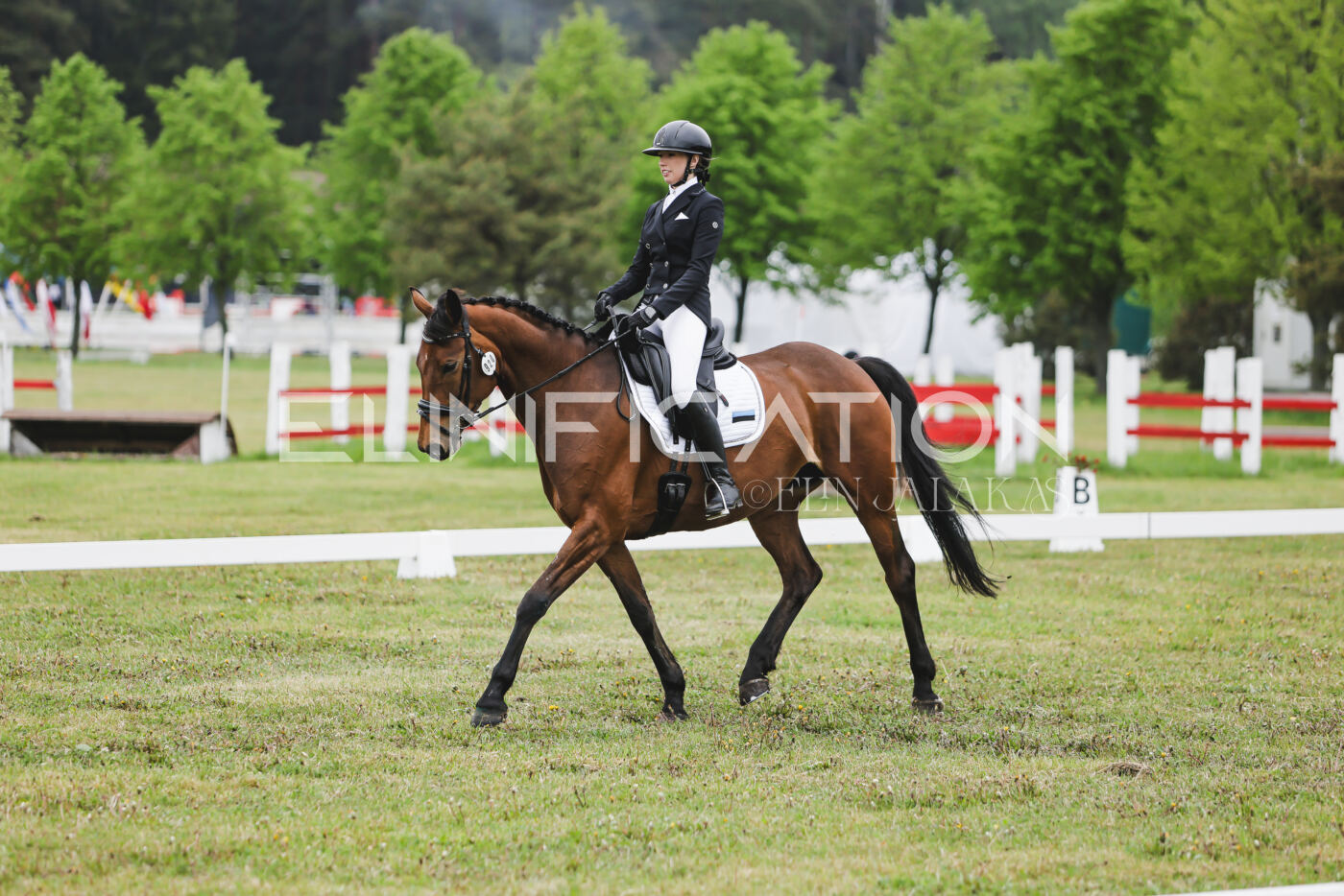 Parnu_CHI_3V_2026_CCN80_KS_022