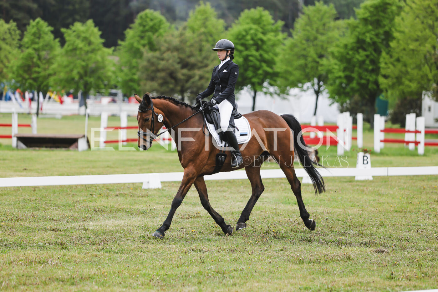 Parnu_CHI_3V_2026_CCN80_KS_023