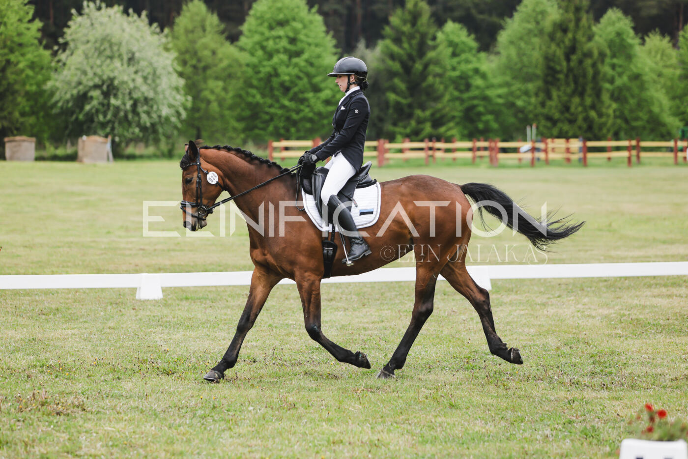 Parnu_CHI_3V_2026_CCN80_KS_026