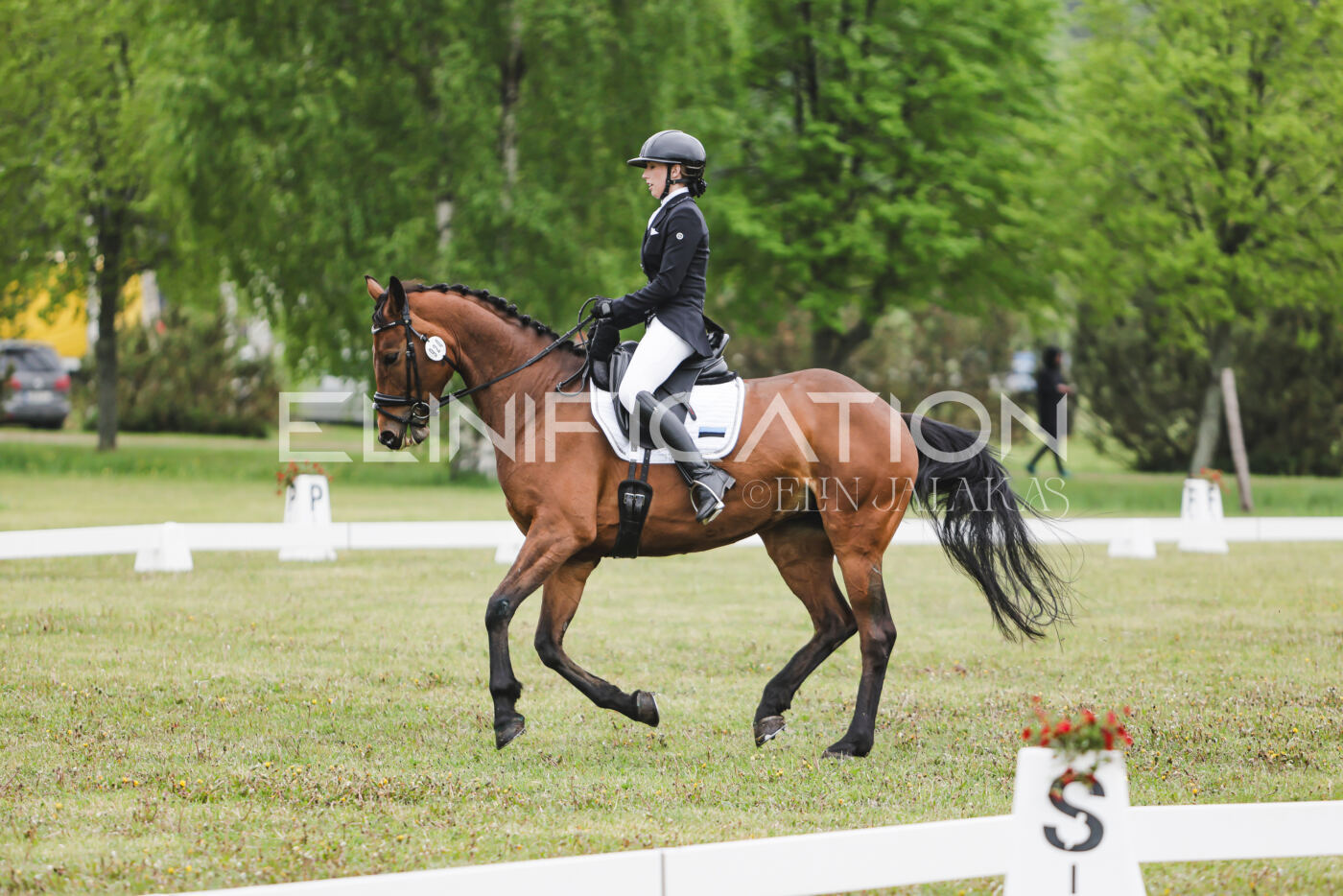 Parnu_CHI_3V_2026_CCN80_KS_028