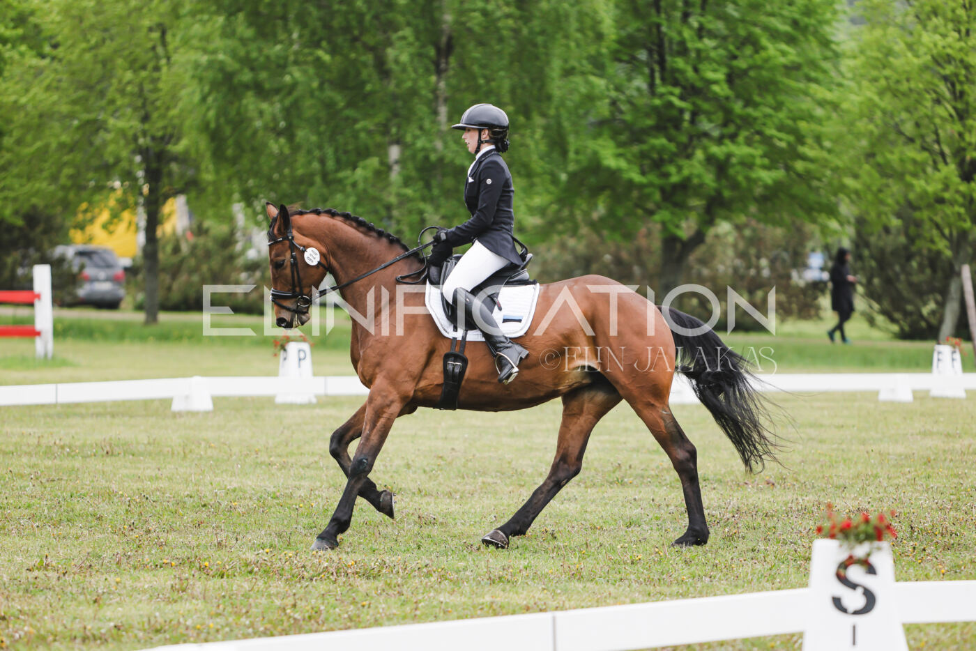 Parnu_CHI_3V_2026_CCN80_KS_029
