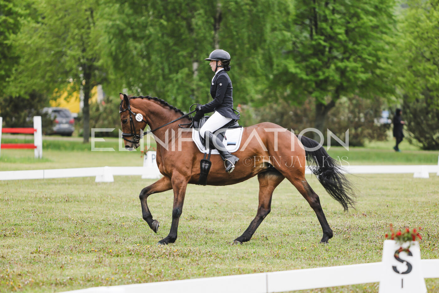 Parnu_CHI_3V_2026_CCN80_KS_030