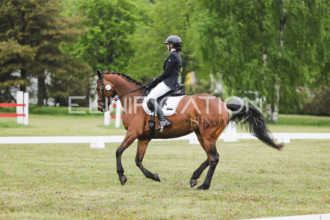 Parnu_CHI_3V_2026_CCN80_KS_031
