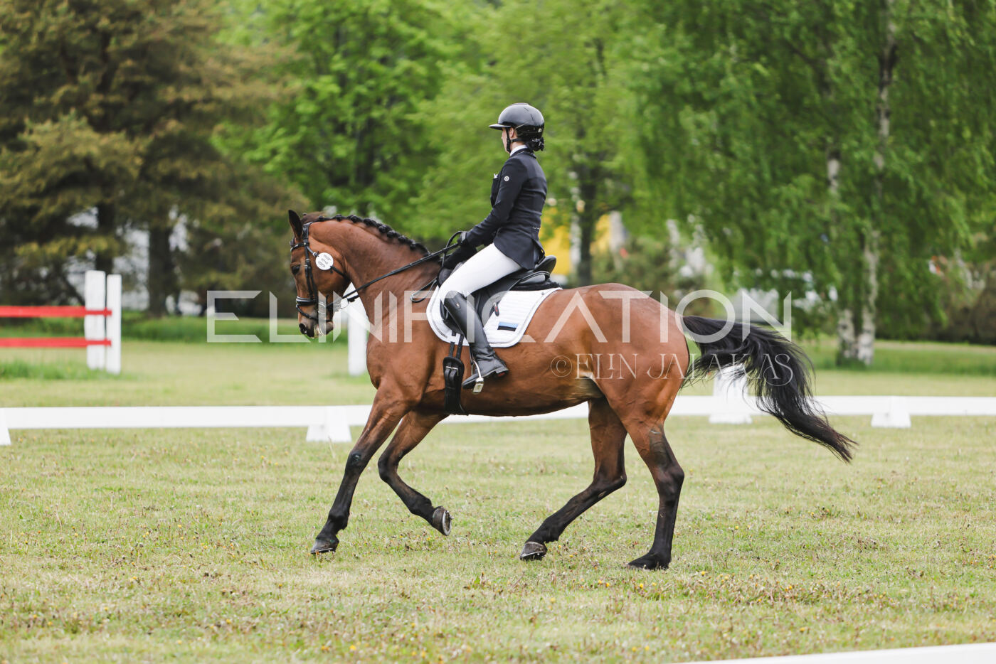 Parnu_CHI_3V_2026_CCN80_KS_032