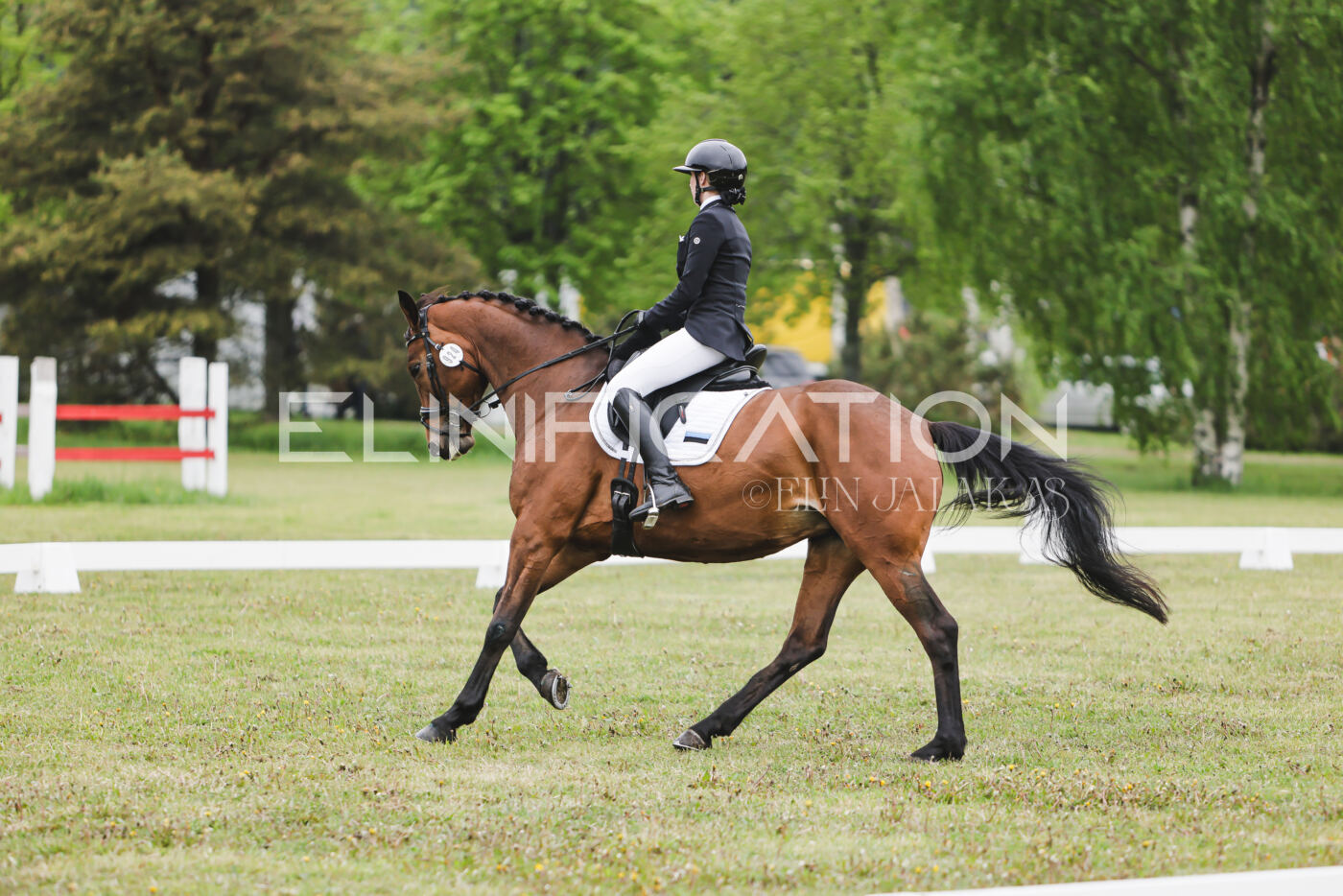 Parnu_CHI_3V_2026_CCN80_KS_033