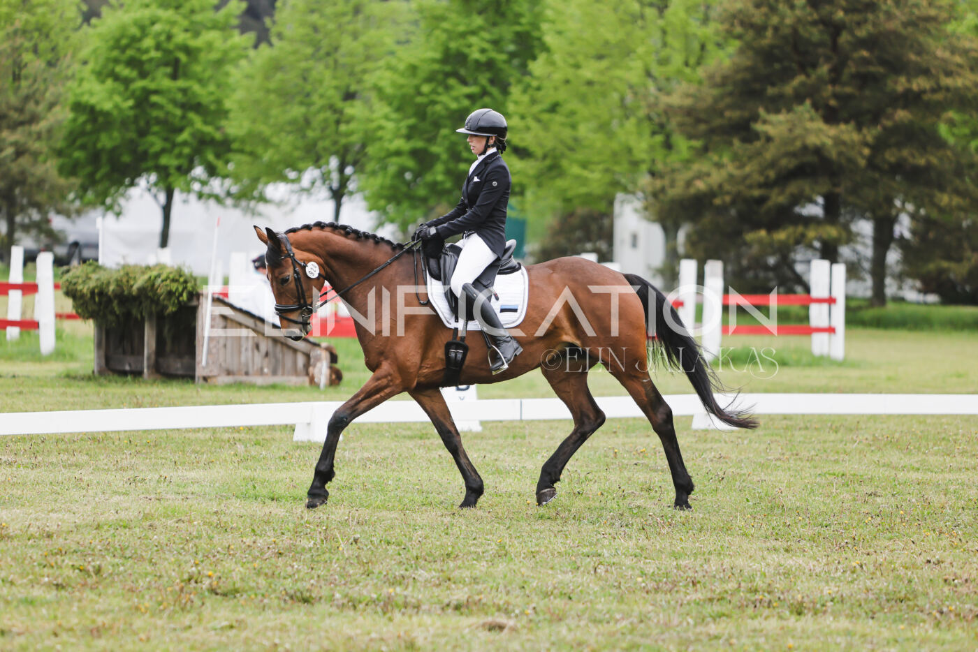 Parnu_CHI_3V_2026_CCN80_KS_034