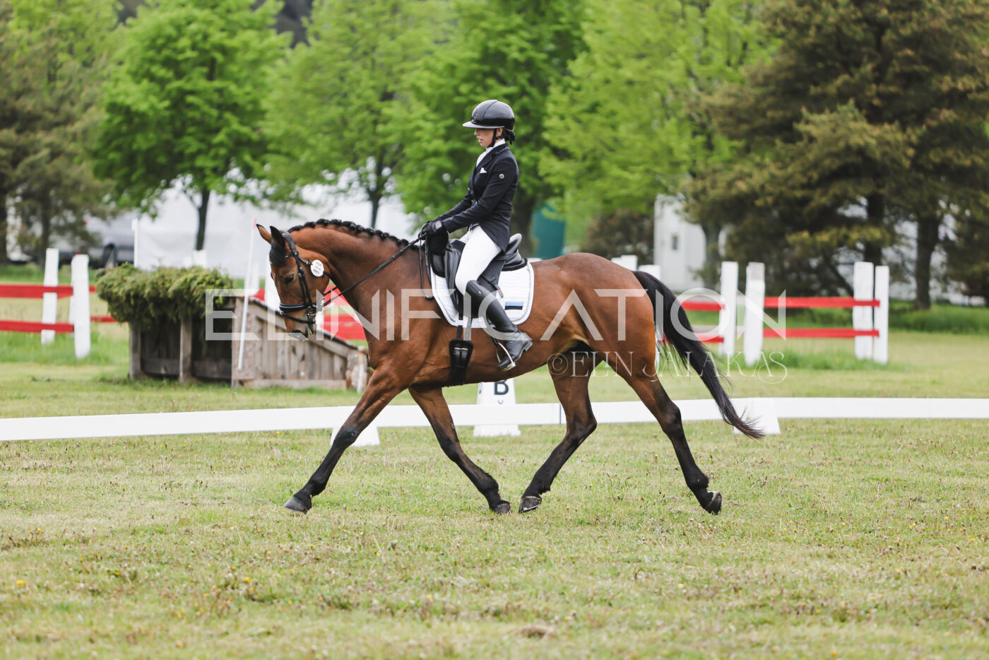 Parnu_CHI_3V_2026_CCN80_KS_035