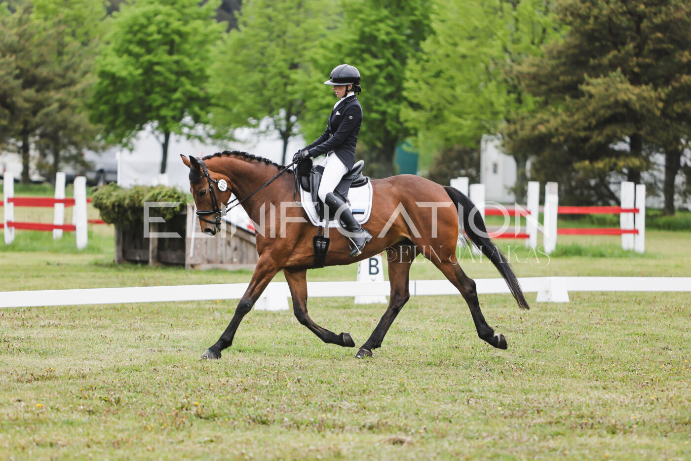 Parnu_CHI_3V_2026_CCN80_KS_036