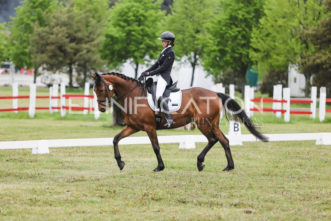 Parnu_CHI_3V_2026_CCN80_KS_037