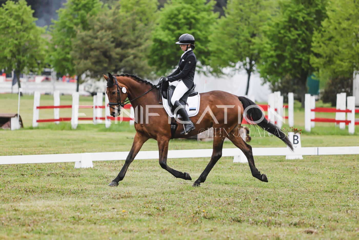 Parnu_CHI_3V_2026_CCN80_KS_038