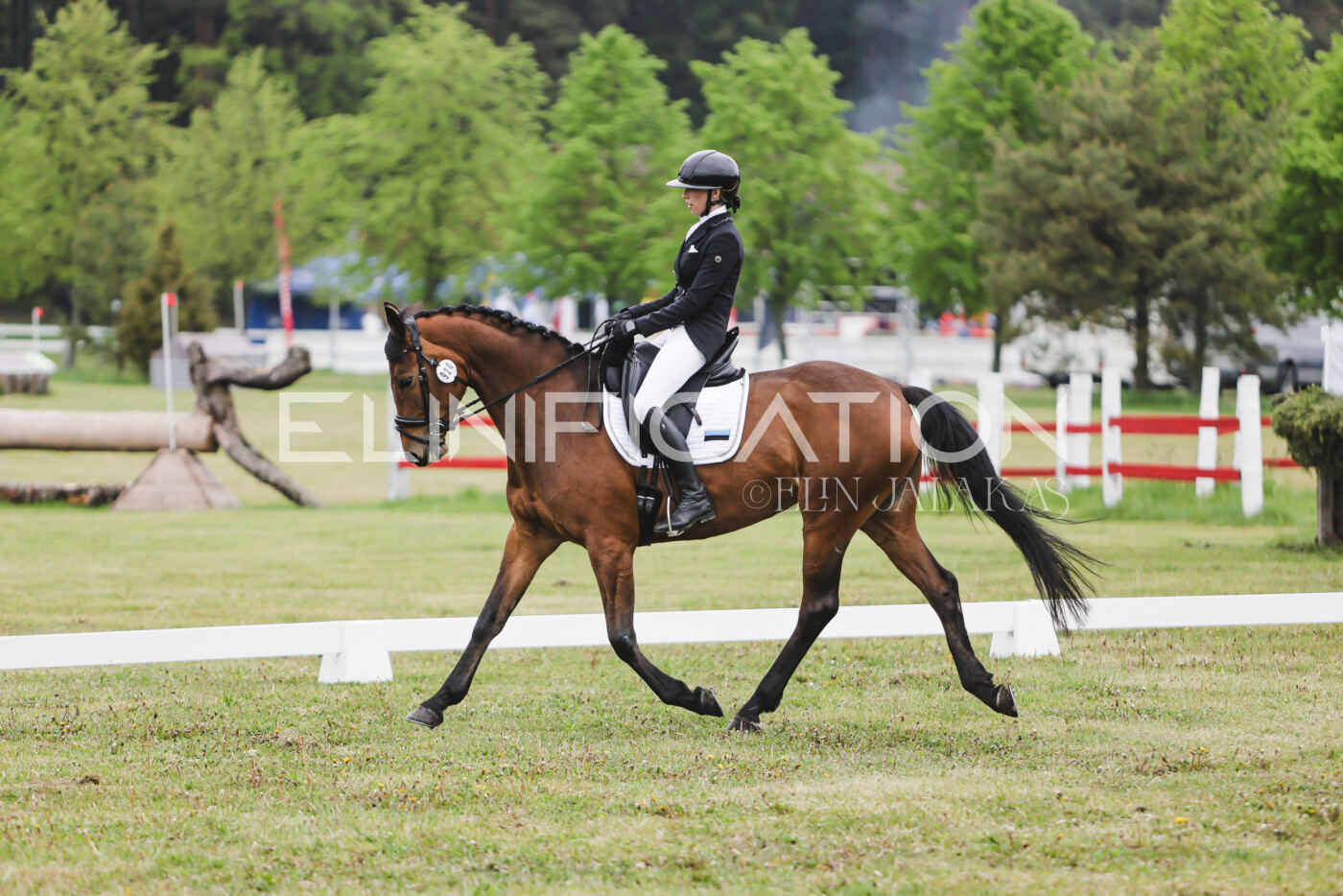 Parnu_CHI_3V_2026_CCN80_KS_039