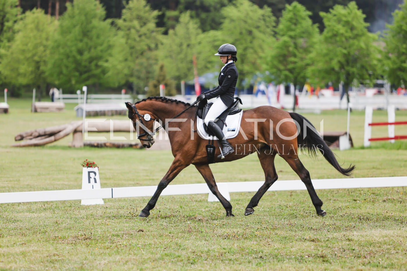 Parnu_CHI_3V_2026_CCN80_KS_041