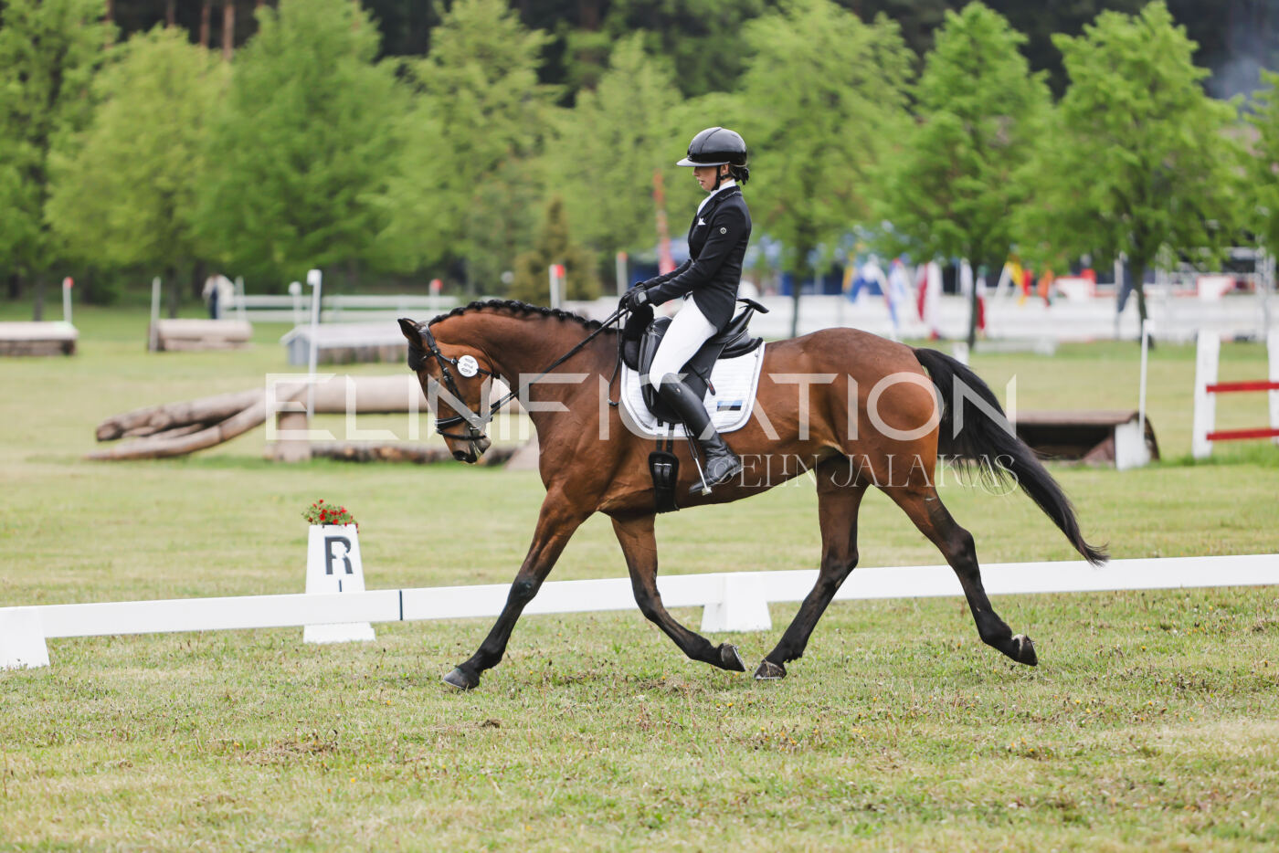 Parnu_CHI_3V_2026_CCN80_KS_042