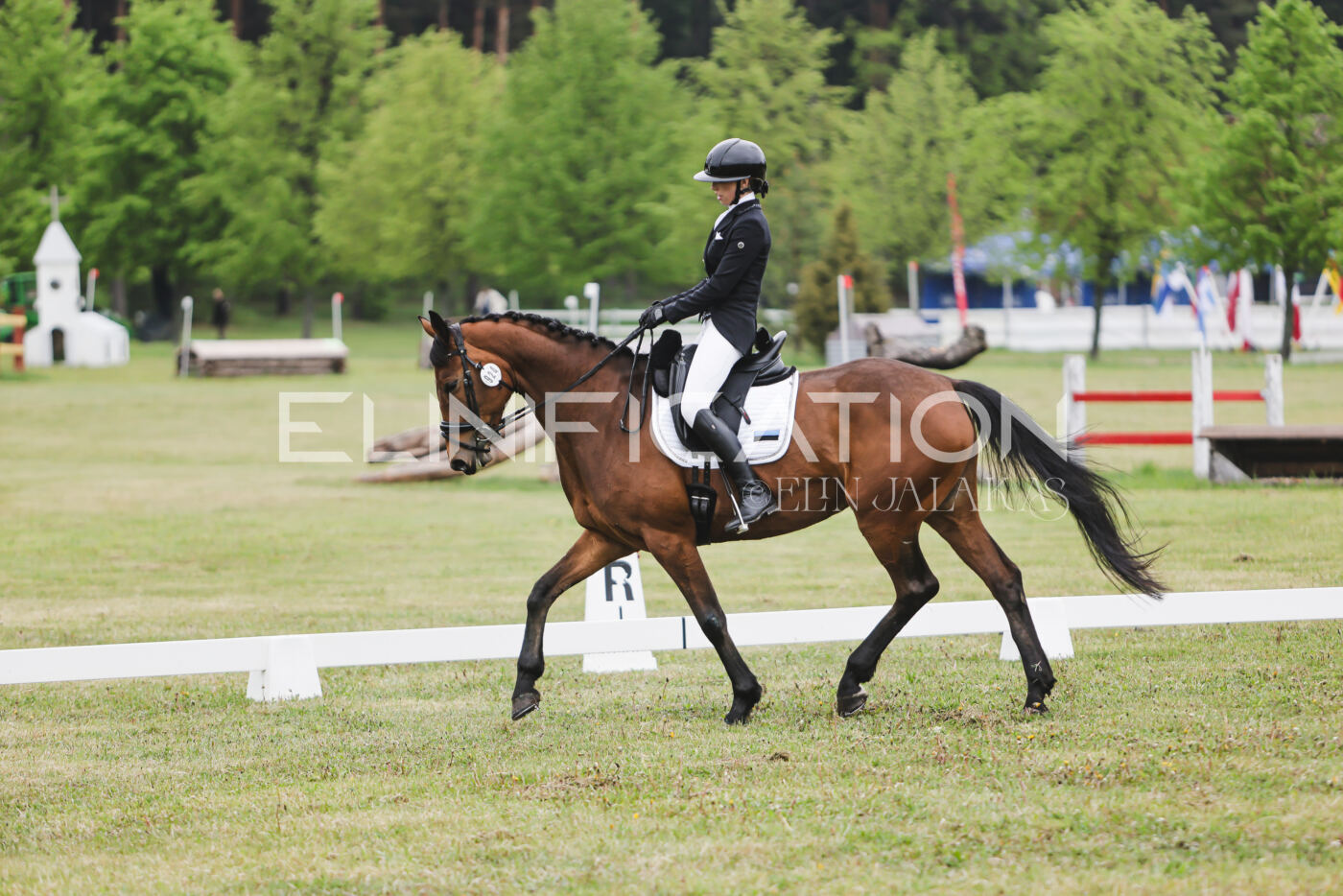 Parnu_CHI_3V_2026_CCN80_KS_043