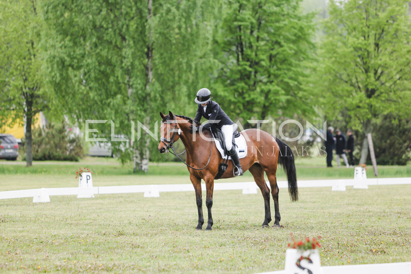 Parnu_CHI_3V_2026_CCN80_KS_060