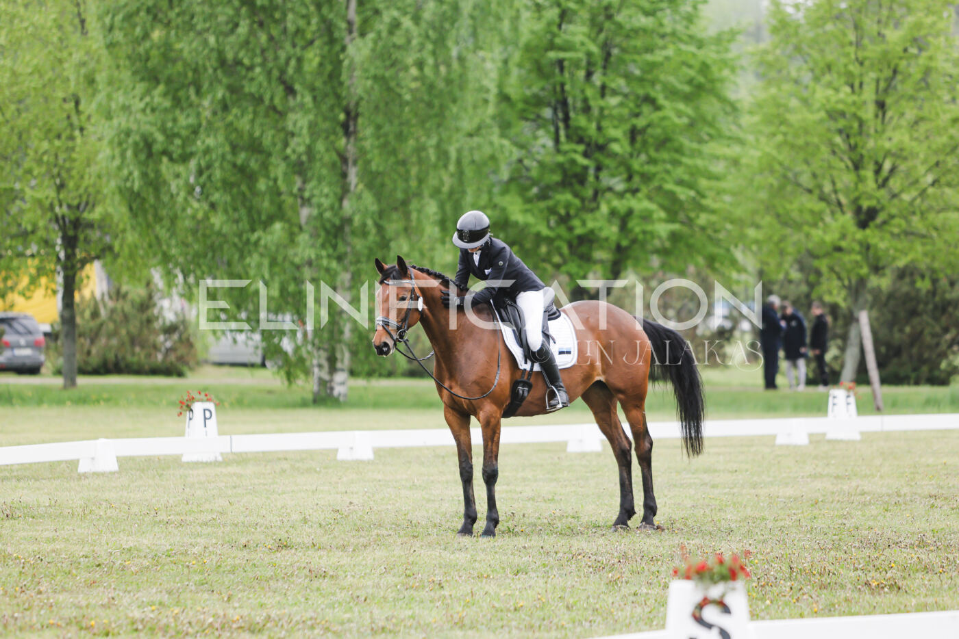 Parnu_CHI_3V_2026_CCN80_KS_061