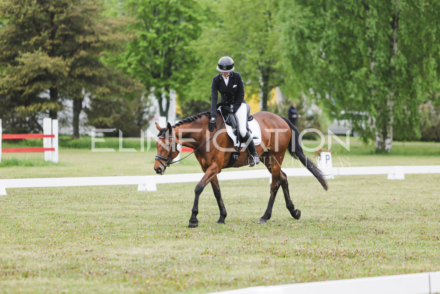 Parnu_CHI_3V_2026_CCN80_KS_064