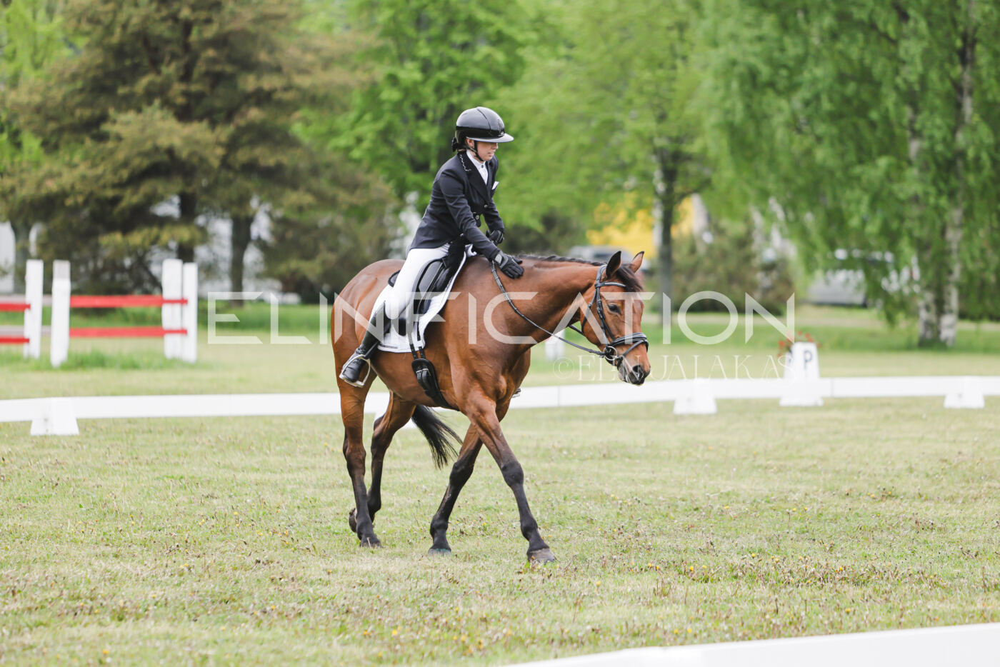 Parnu_CHI_3V_2026_CCN80_KS_065