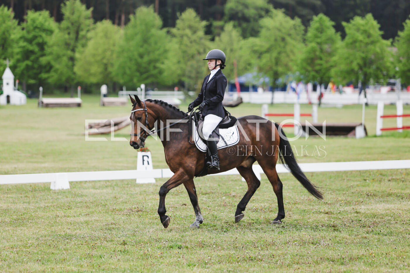 Parnu_CHI_3V_2026_CCN80_KS_067