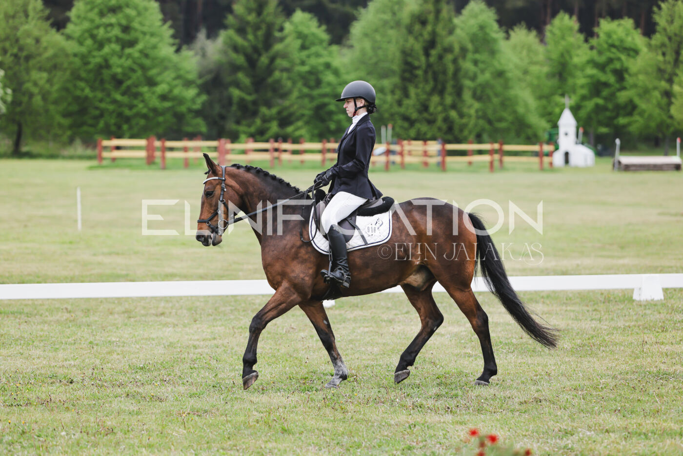 Parnu_CHI_3V_2026_CCN80_KS_072