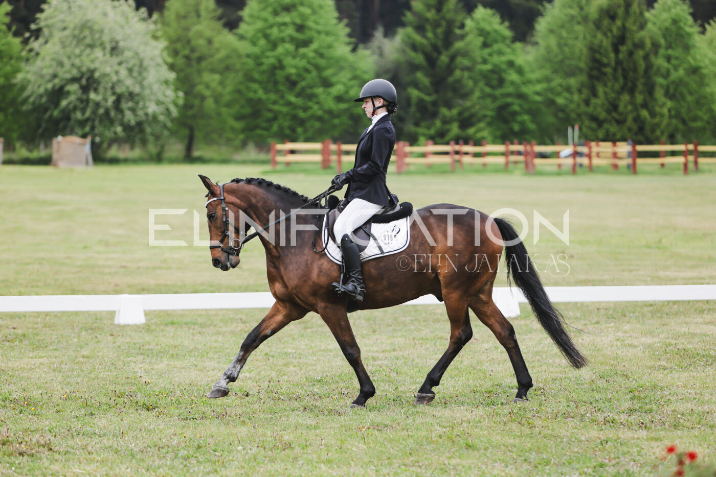 Parnu_CHI_3V_2026_CCN80_KS_076