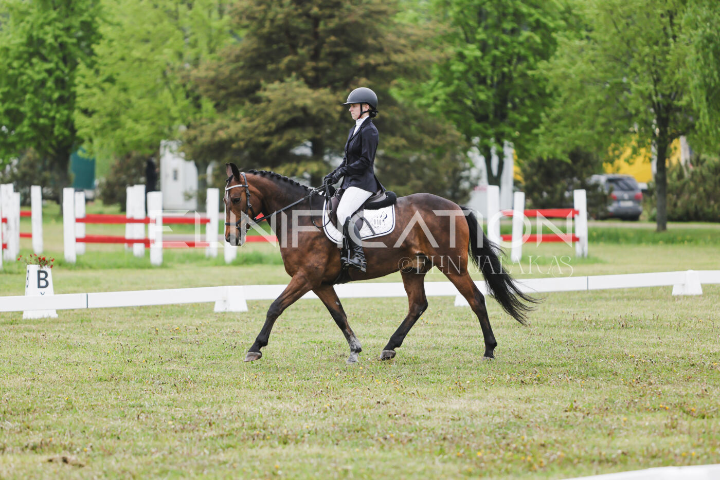 Parnu_CHI_3V_2026_CCN80_KS_077