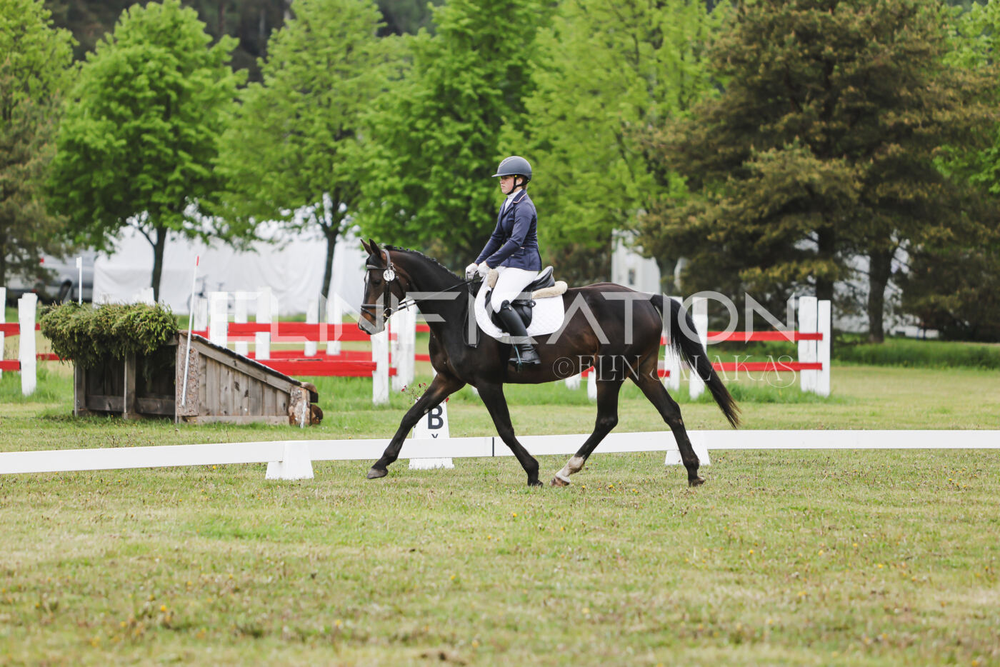 Parnu_CHI_3V_2026_CCN80_KS_115