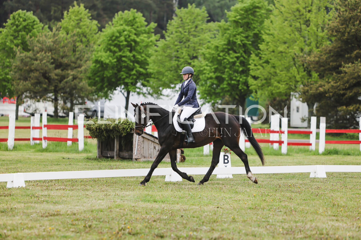 Parnu_CHI_3V_2026_CCN80_KS_117