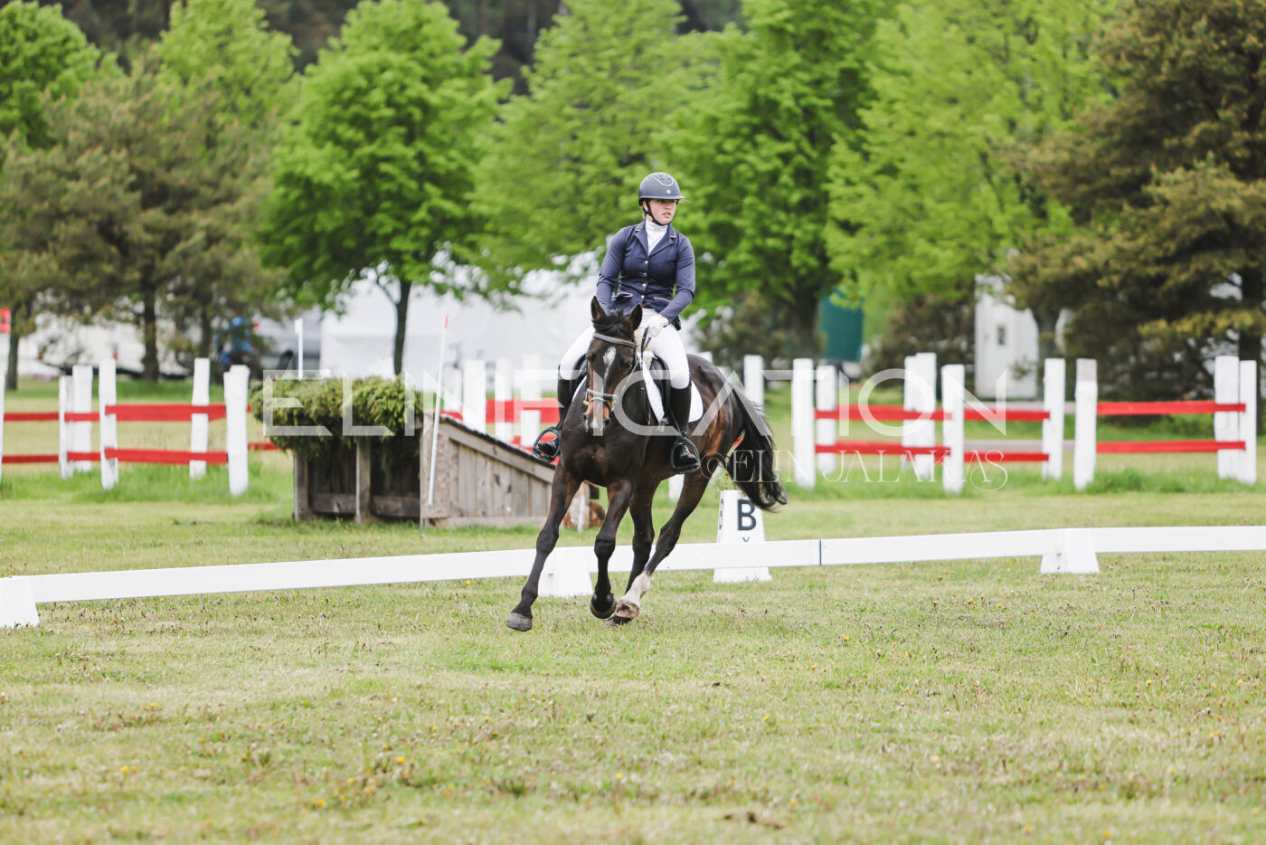 Parnu_CHI_3V_2026_CCN80_KS_131