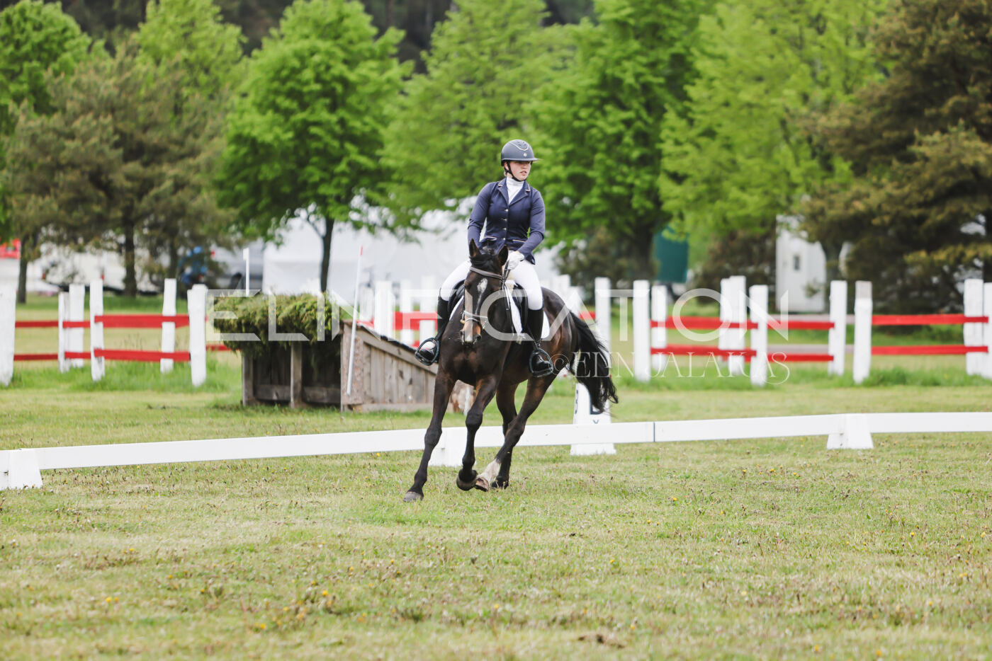 Parnu_CHI_3V_2026_CCN80_KS_132