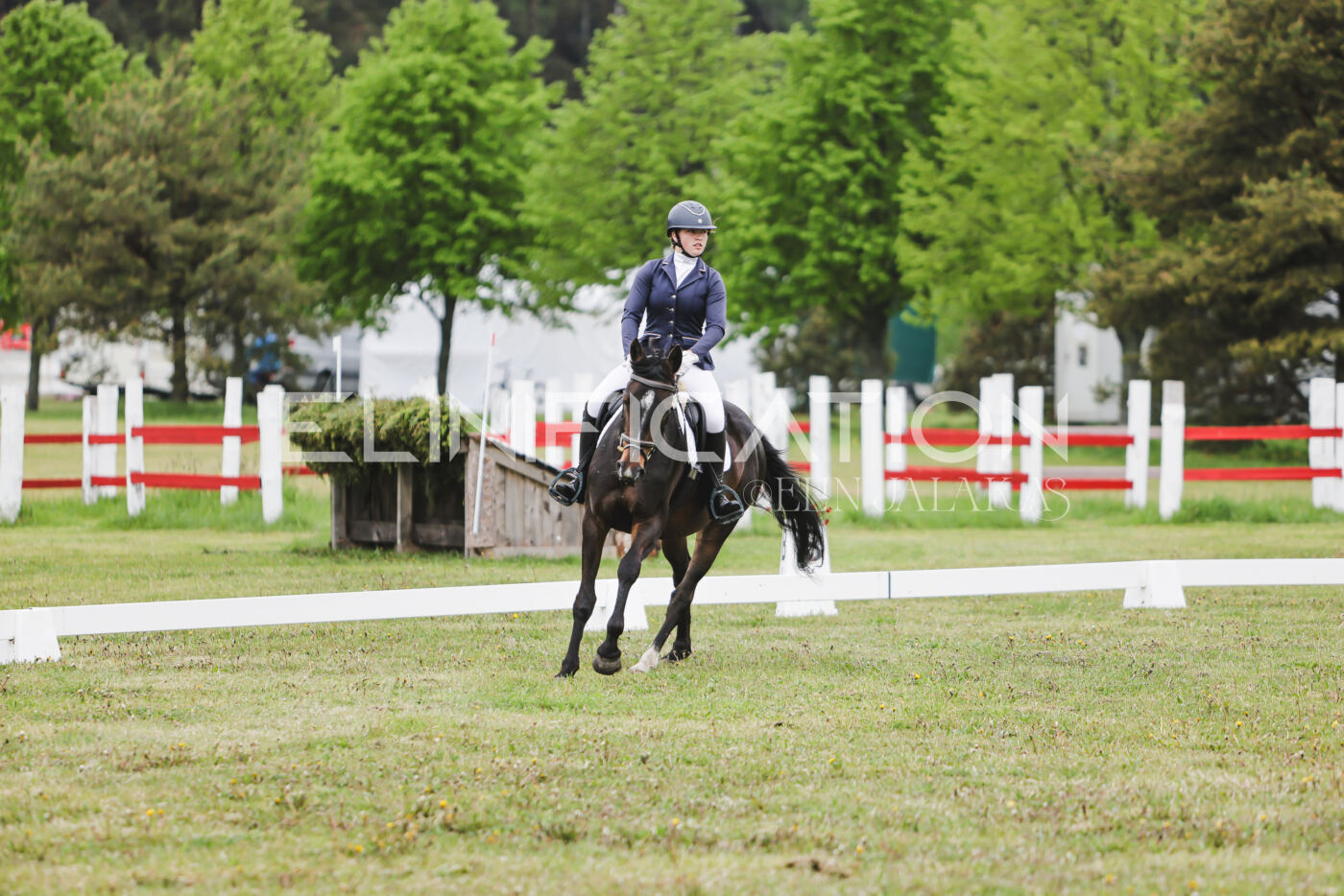Parnu_CHI_3V_2026_CCN80_KS_133