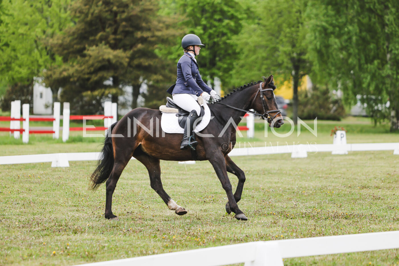 Parnu_CHI_3V_2026_CCN80_KS_136