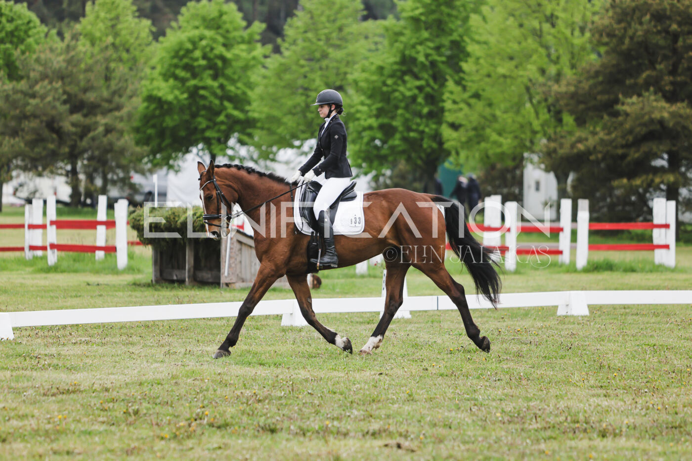 Parnu_CHI_3V_2026_CCN80_KS_142