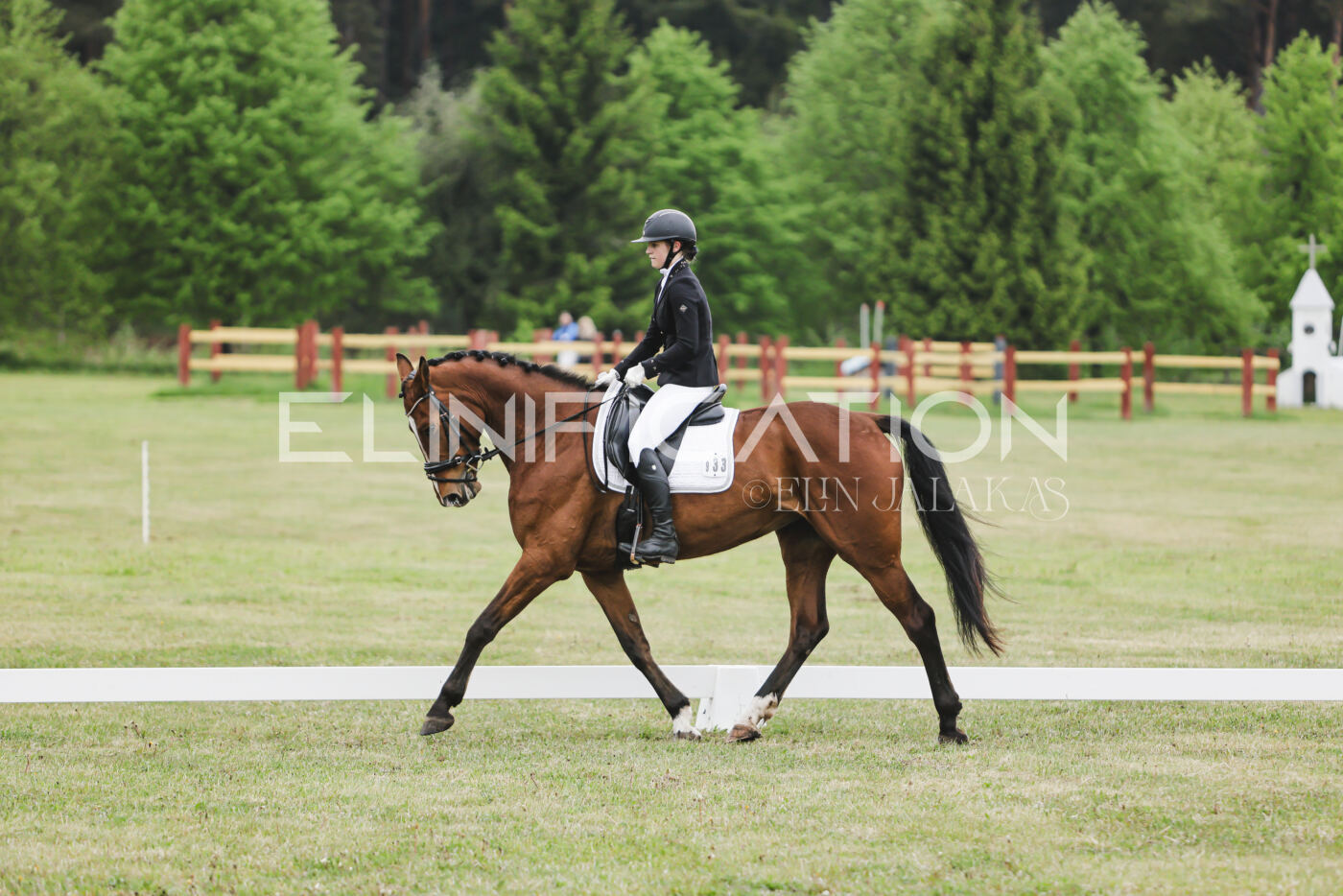 Parnu_CHI_3V_2026_CCN80_KS_149