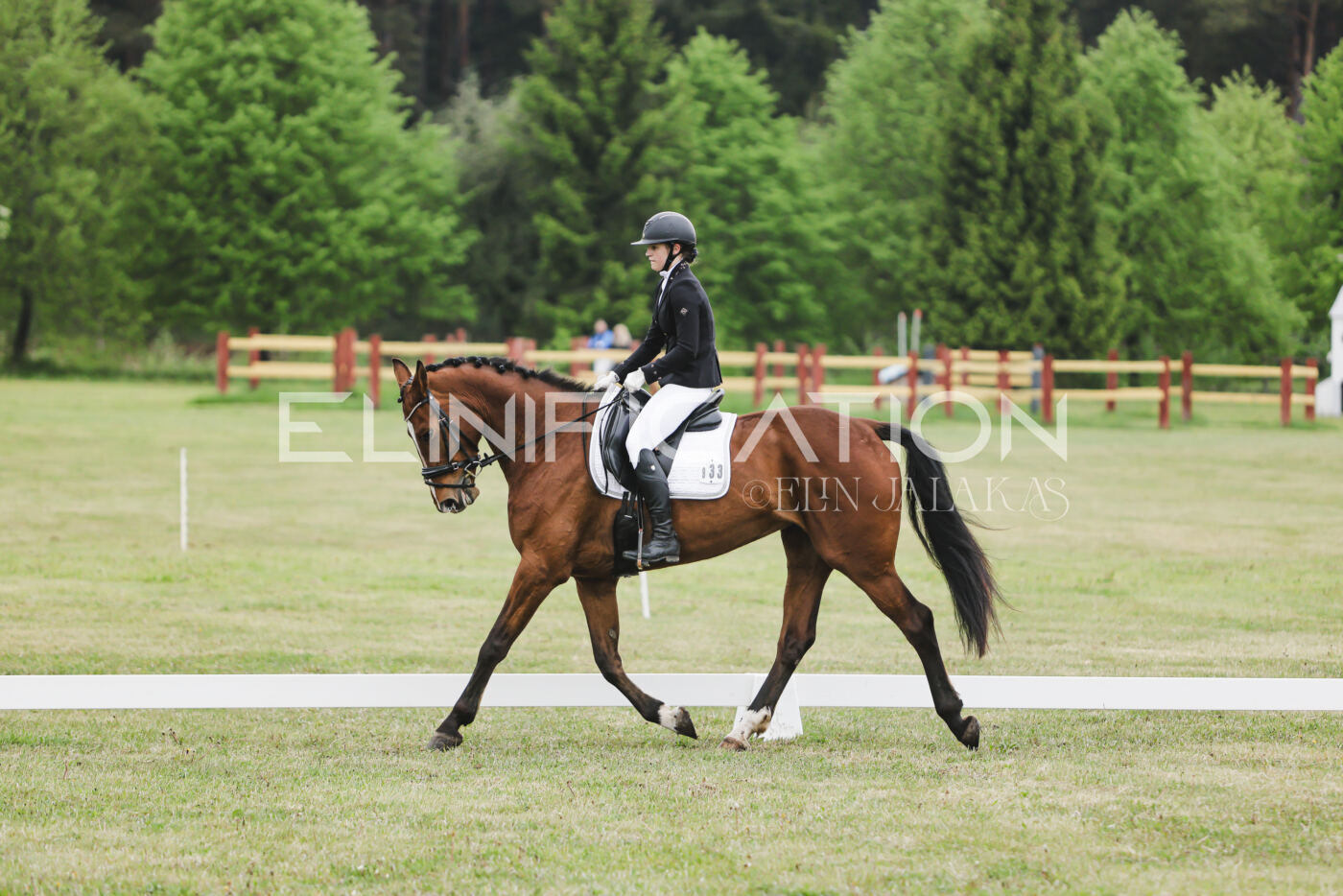 Parnu_CHI_3V_2026_CCN80_KS_150