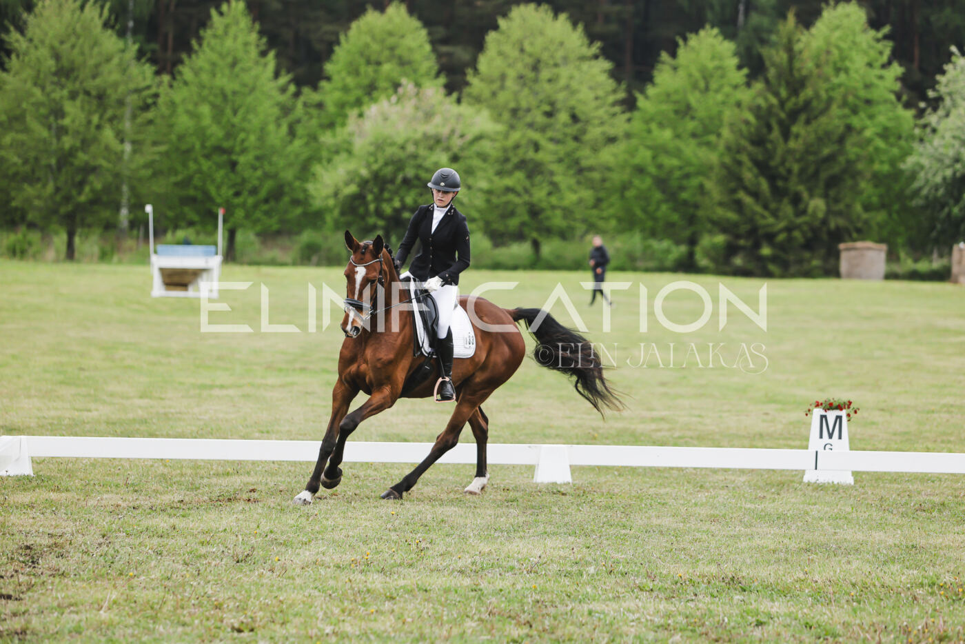Parnu_CHI_3V_2026_CCN80_KS_153