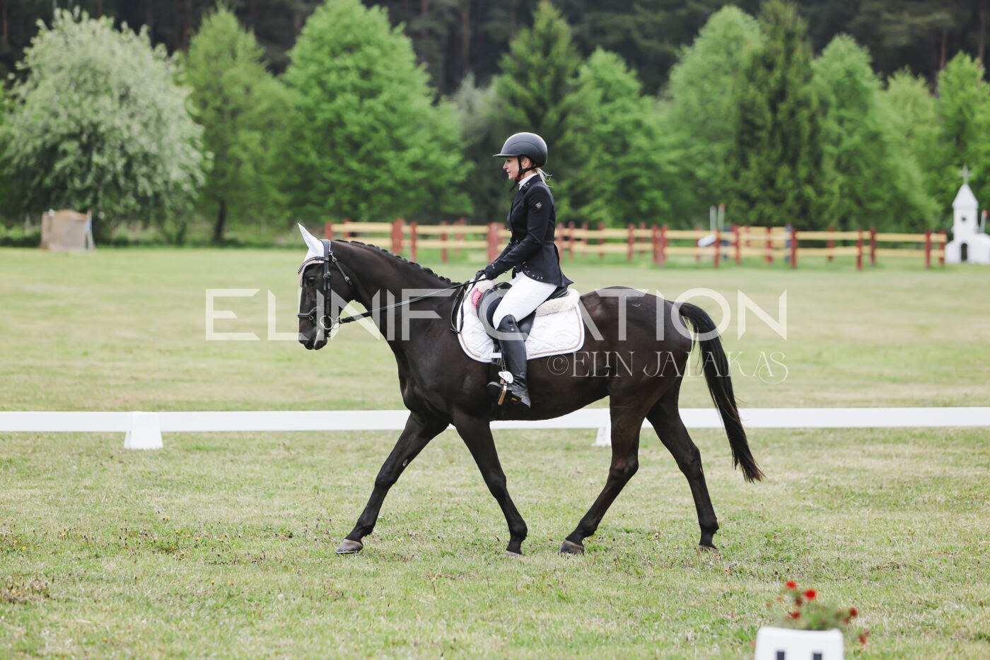 Parnu_CHI_3V_2026_CCN80_KS_159