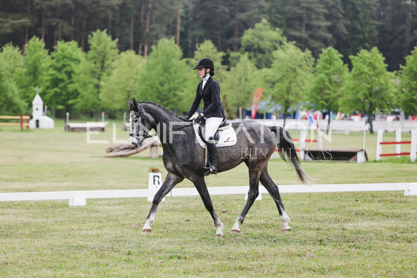 Parnu_CHI_3V_2026_CCN80_KS_171