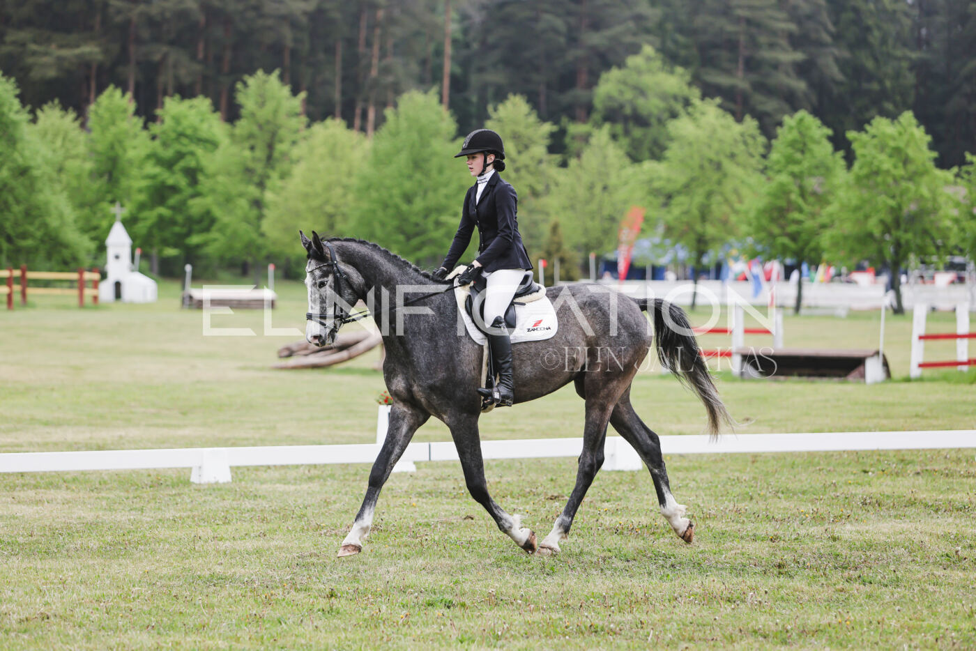 Parnu_CHI_3V_2026_CCN80_KS_172