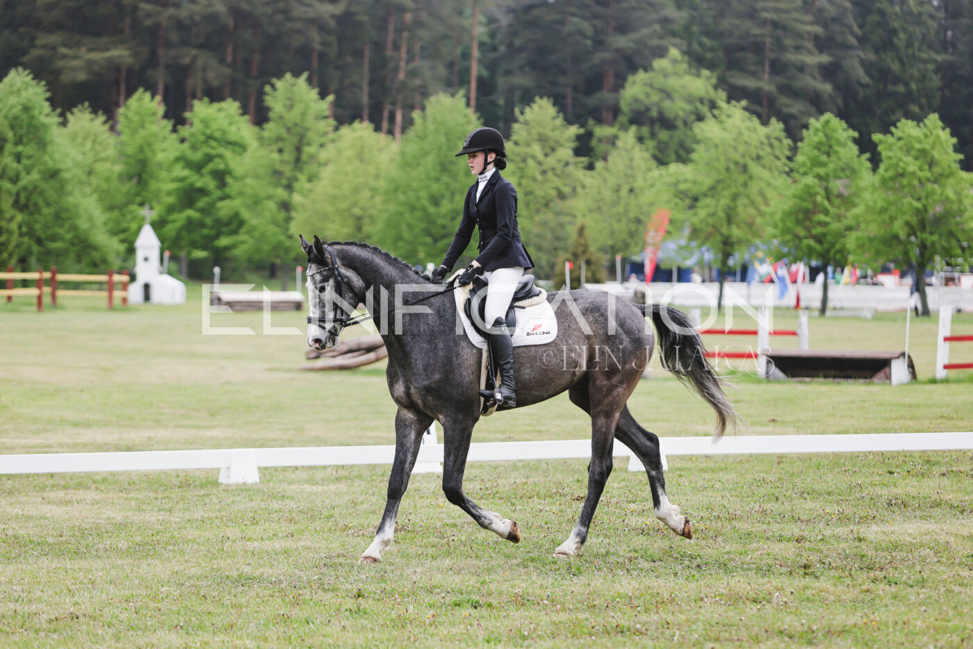 Parnu_CHI_3V_2026_CCN80_KS_173