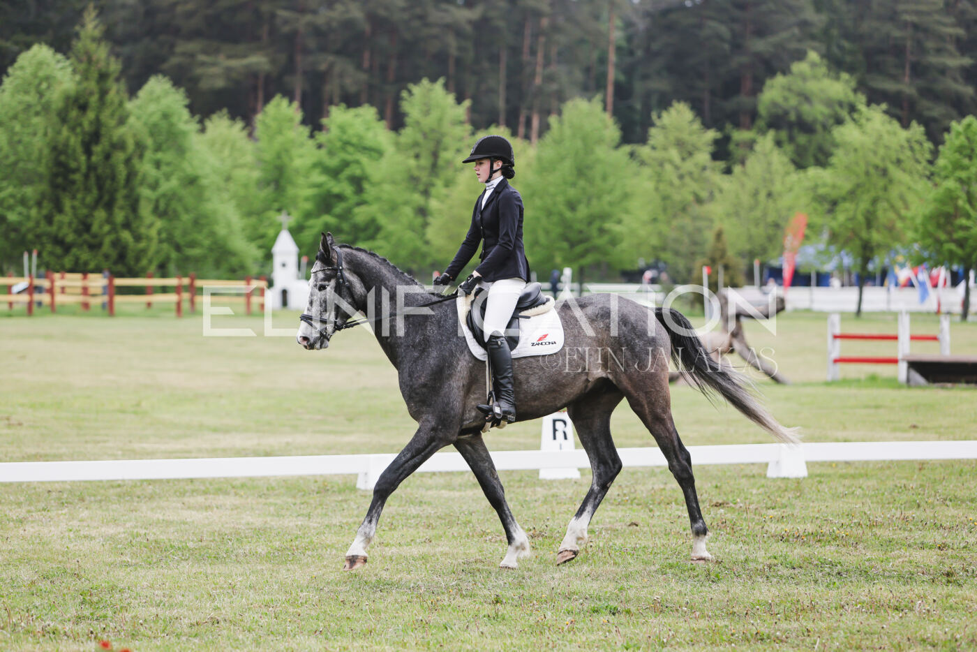 Parnu_CHI_3V_2026_CCN80_KS_174