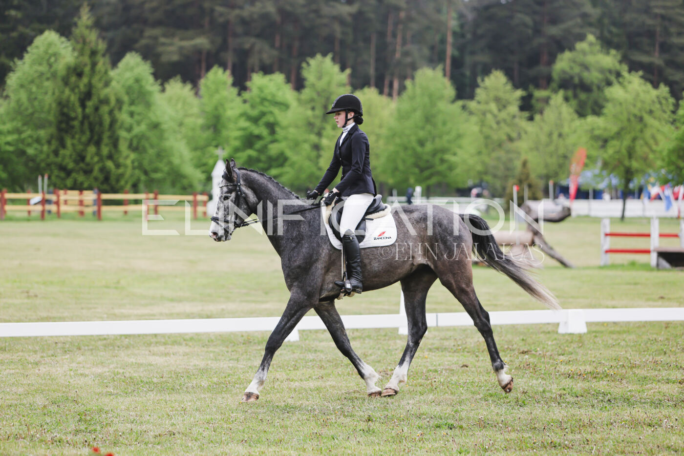 Parnu_CHI_3V_2026_CCN80_KS_175